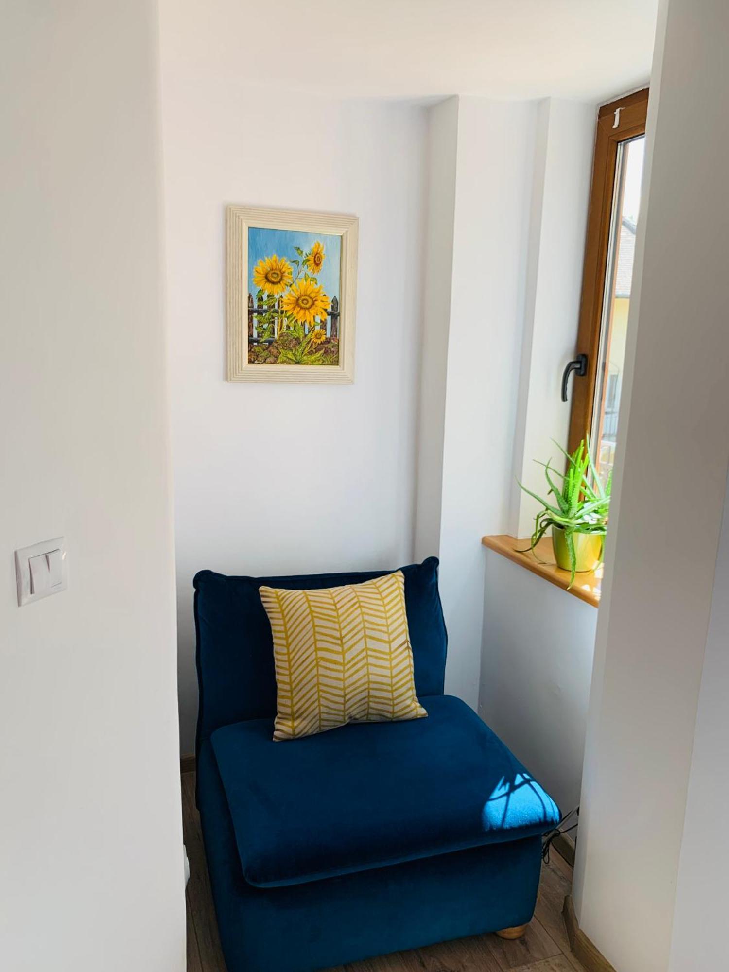 Charming Central Apartments Κλουζ-Ναπόκα Εξωτερικό φωτογραφία